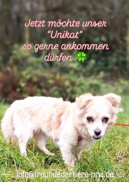 Püppi sucht nach den richtigen Menschen