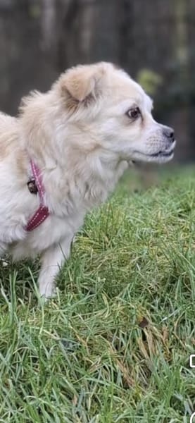 Püppi sucht nach den richtigen Menschen