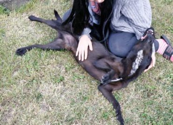 Cézár, fröhlicher Clown, ca. 5 Jahre