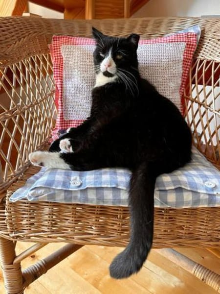 MORLOCK sucht Ankerplatz ohne Crew