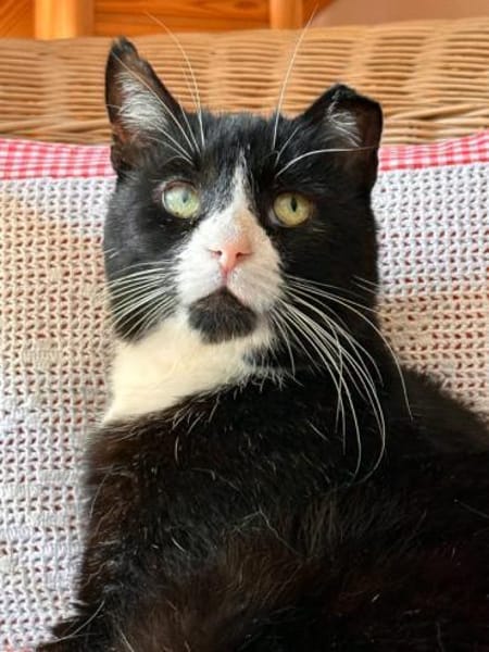 MORLOCK sucht Ankerplatz ohne Crew