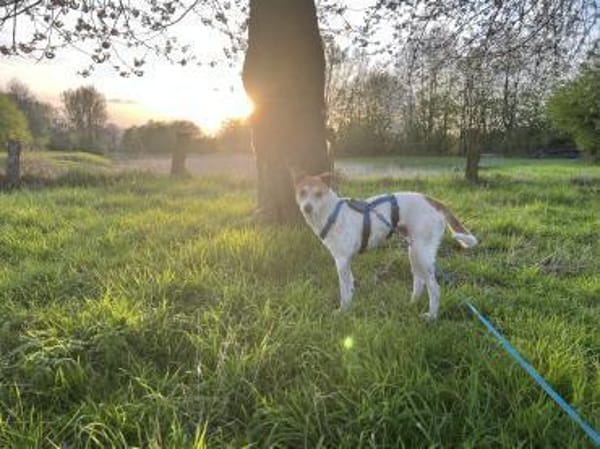 Arko möchte endlich ankommen - bei dir?