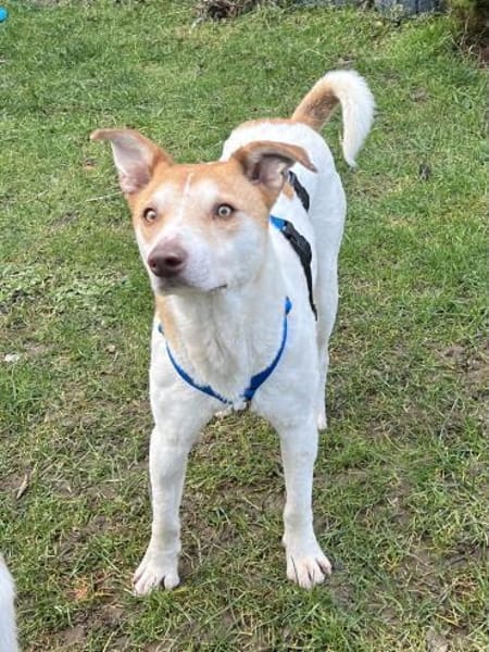 Arko möchte endlich ankommen - bei dir?