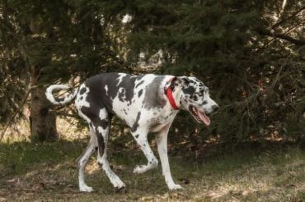 sanfte Schönheit leidet ohne Familie