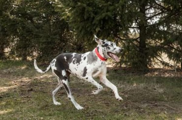 sanfte Schönheit leidet ohne Familie
