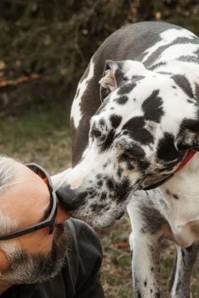 sanfte Schönheit leidet ohne Familie
