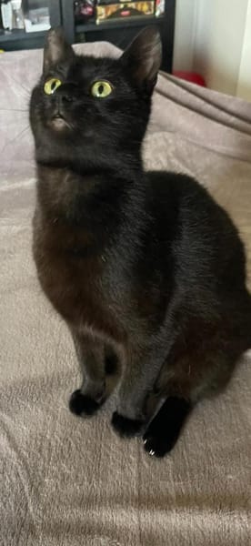 schwarzePrinzessin Marta