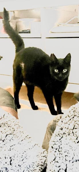 schwarzePrinzessin Marta