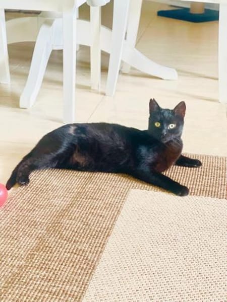 schwarzePrinzessin Marta