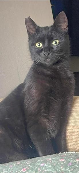 schwarzePrinzessin Marta