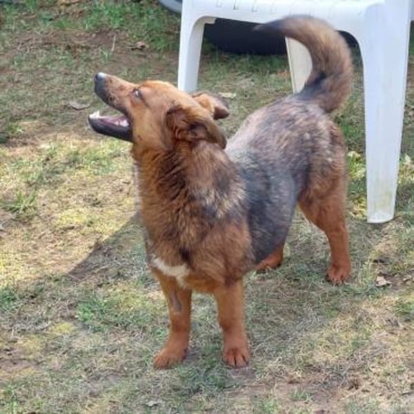 kleine süße Aurea auf PS in 91459