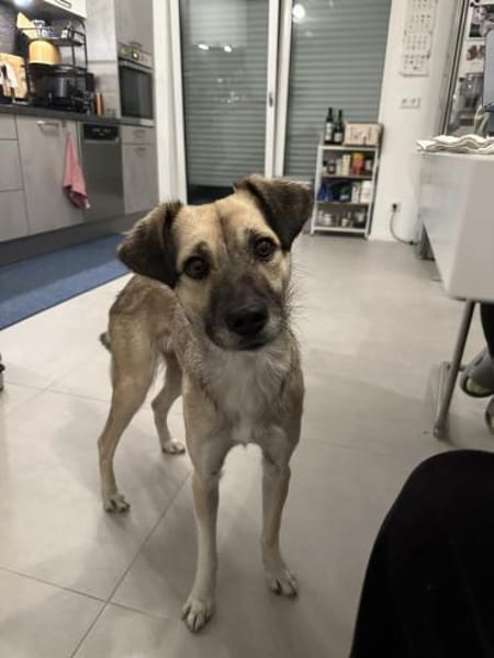 aktive, tolle Ellie auf PS 83059