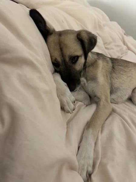 aktive, tolle Ellie auf PS 83059