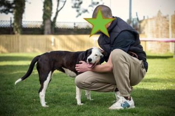 FELI-LIEBENSWERTE BEGLEITERIN