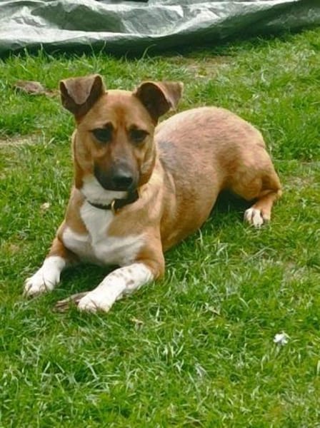 kleine süße Katinka auf PS in 91353