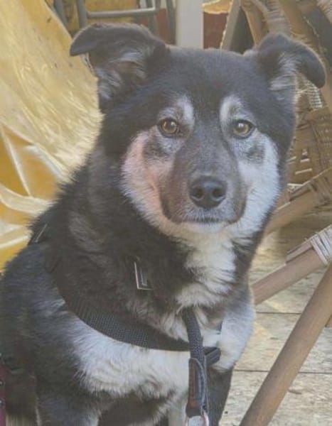 lieber kleiner Jaxx auf PS in 90475