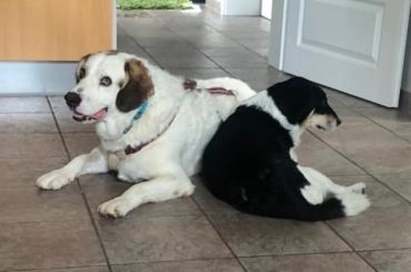 Frank -  auf PS in 53947 Nettersheim