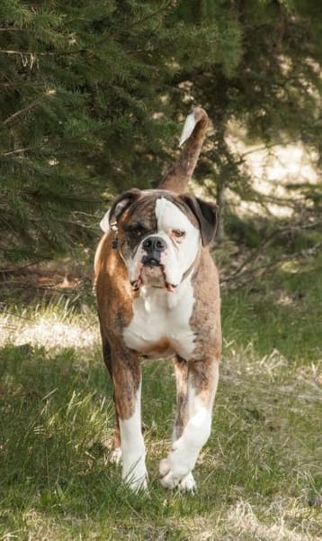 Taffe Menschen zum Anlehnen gesucht