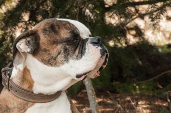 Taffe Menschen zum Anlehnen gesucht