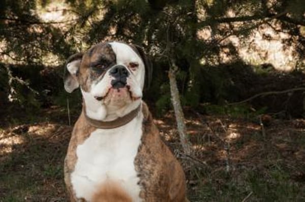 Taffe Menschen zum Anlehnen gesucht