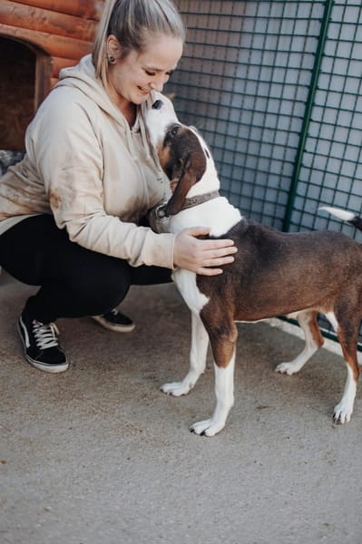 Ruhepol Rex sucht dich