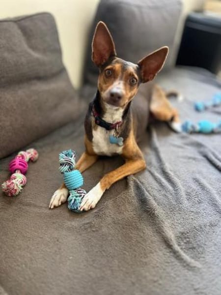 Kleopatra -  total verwahrlost gefunden