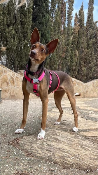 Kleopatra -  total verwahrlost gefunden