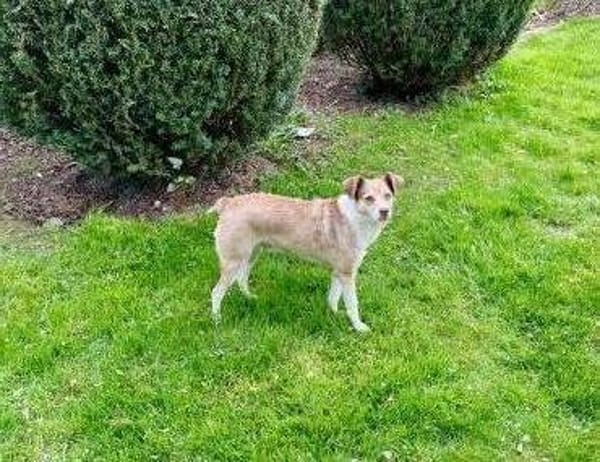 Birdy verschmust, anhänglich,zutraulich