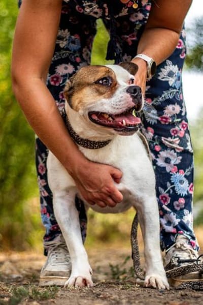 Töfi, lustige Knutschkugel, ca. 3 Jahre