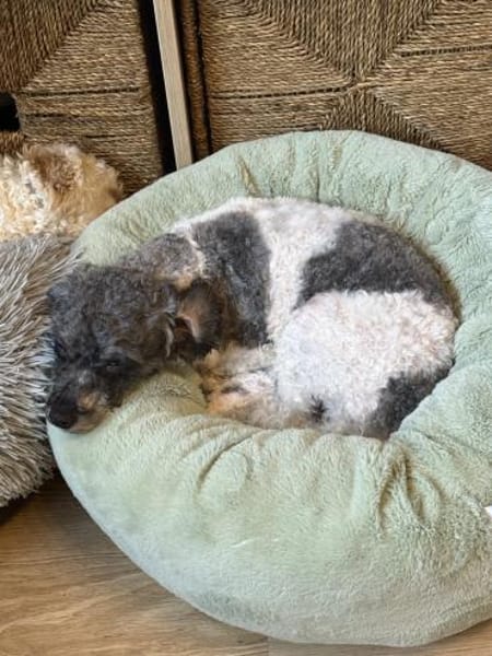 Riky in 77776  Bad Rippoldsau