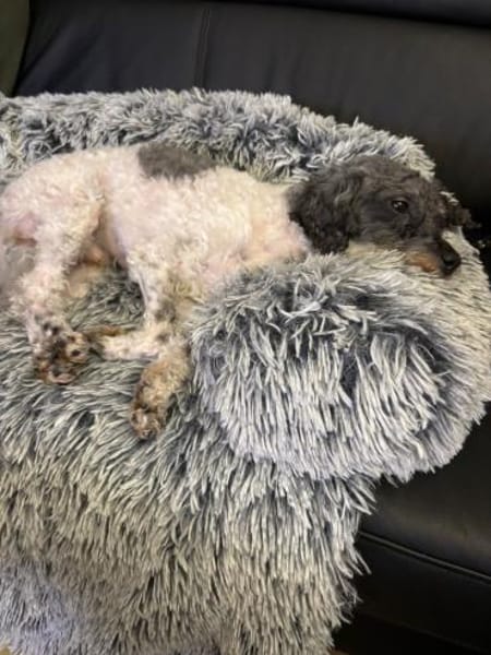 Riky in 77776  Bad Rippoldsau