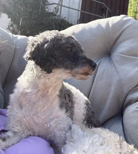 Riky in 77776  Bad Rippoldsau