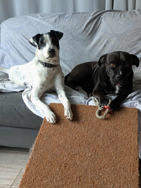 Paty, se languit de trouver sa famille