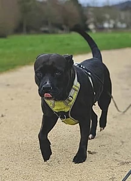 Paty, se languit de trouver sa famille