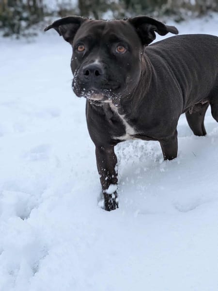 Paty, se languit de trouver sa famille