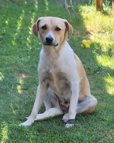 MABEL-möchte keine Angst mehr haben