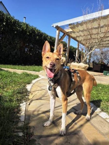 Mila möchte endlich die Welt entdecken