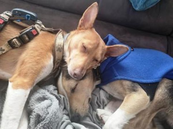 Mila möchte endlich die Welt entdecken