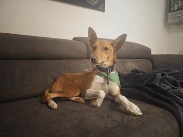 Mila möchte endlich die Welt entdecken