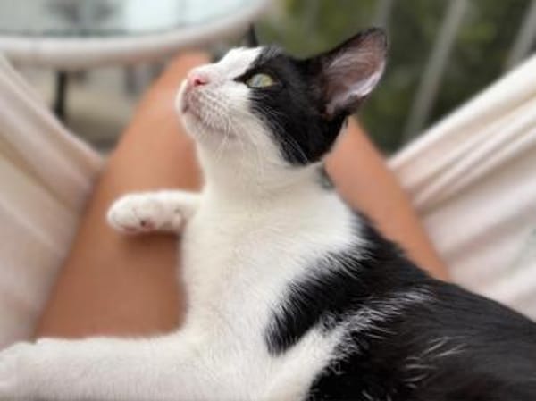 Bergamo möchte zu Ihnen gehören