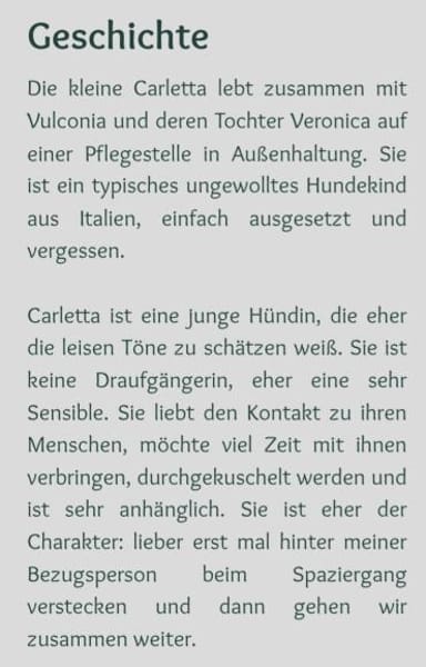 wunderschöne, sanfte Carletta 🥰