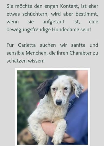 wunderschöne, sanfte Carletta 🥰