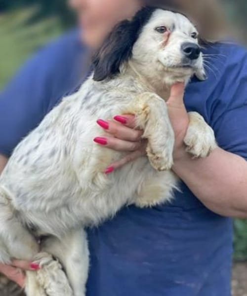 wunderschöne, sanfte Carletta 🥰