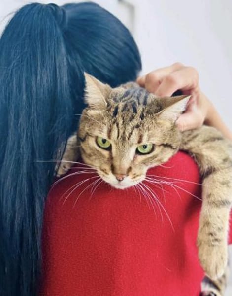 Scarlett w ~ 5 Jahre