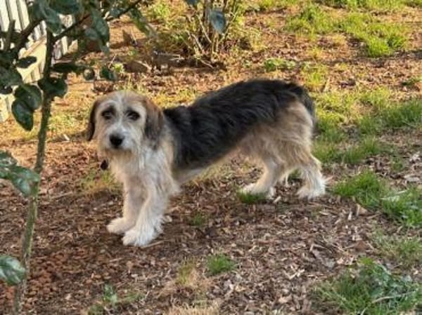 Tusko - freundlich u. lieb