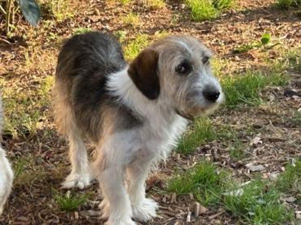 Tusko - freundlich u. lieb