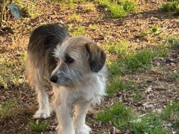 Tusko - freundlich u. lieb