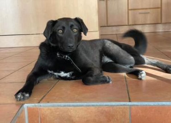 Maliah ist aufgeschlossen + mag Menschen