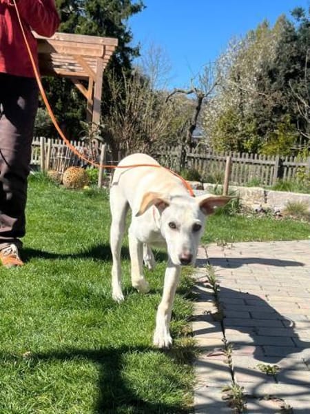 Jaz unser Spaßvogel