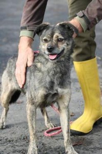 Babbit - verspielt u. aufgeweckt